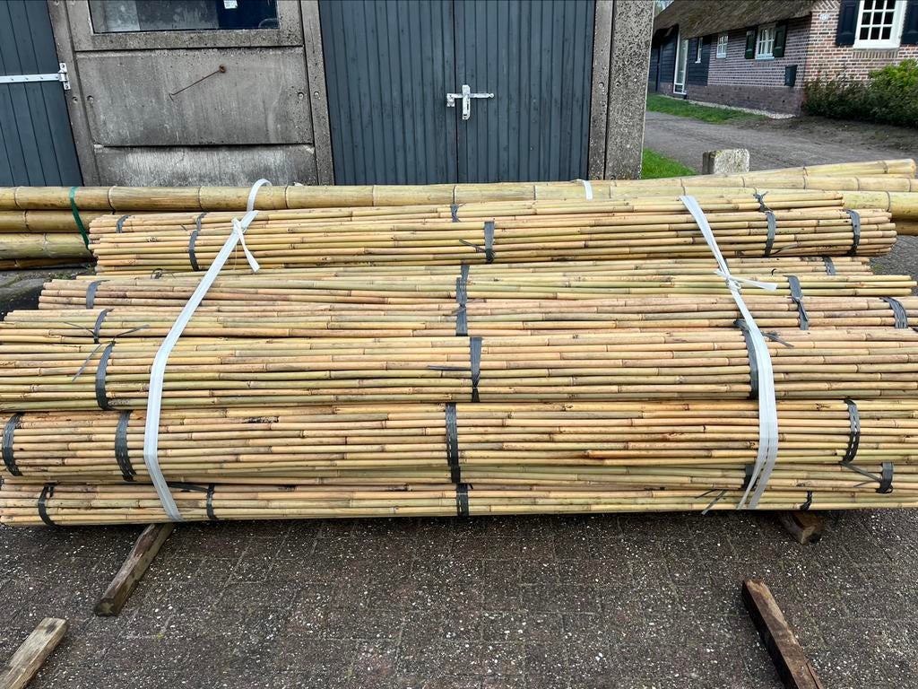 Bonenstokken tonkin bamboestok plantensteun, Tuin en Terras, Ophalen of Verzenden, Nieuw, Overige typen