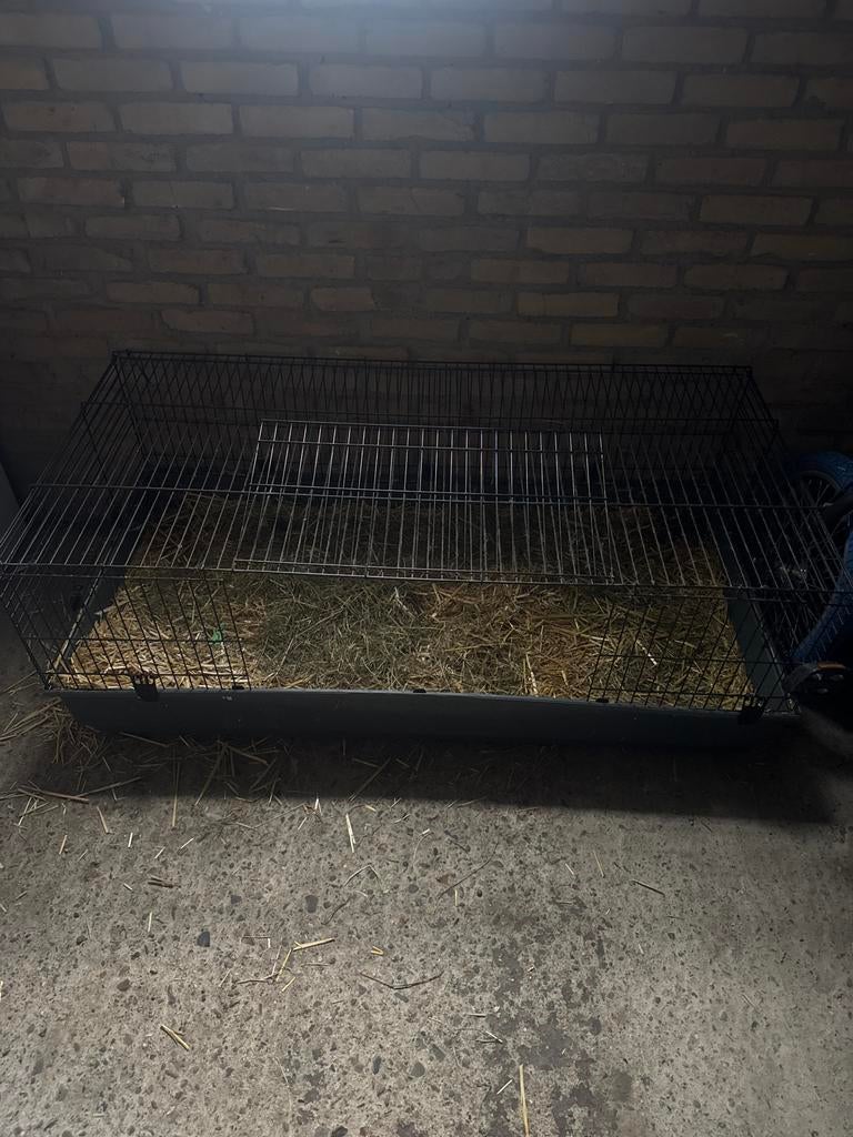 Konijnenhok te koop !, Dieren en Toebehoren, Knaagdieren en Konijnen | Hokken en Kooien, Ophalen of Verzenden, 90 cm of meer, Konijn