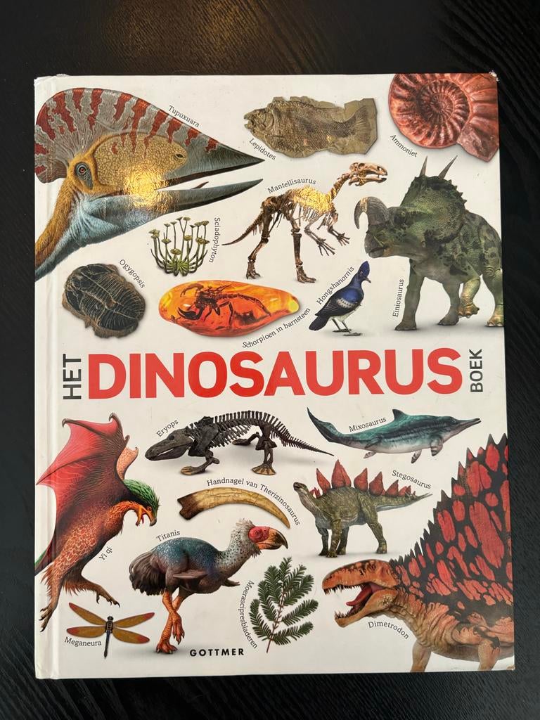 Het Dinosaurus Boek - Fascinerende feiten!, Ophalen of Verzenden, Zo goed als nieuw, Dieren, Los deel