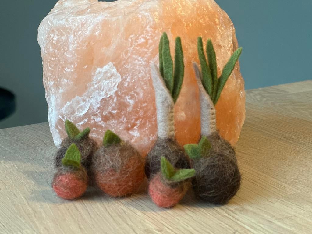 Kiembolletjes voor op lentetafel antroposofische wol lente, Hobby en Vrije tijd, Vilt, Ophalen of Verzenden, Nieuw, Figuurtje(s)