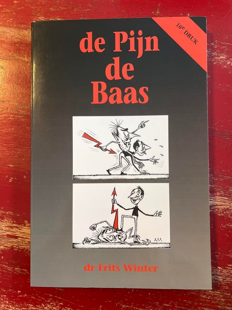 De Pijn de Baas - Frits Winter, Ophalen of Verzenden, Gelezen, Klinische psychologie