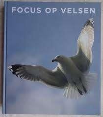 Focus op Velsen, Boeken, Geschiedenis | Stad en Regio, Ophalen of Verzenden, 20e eeuw of later, Zo goed als nieuw