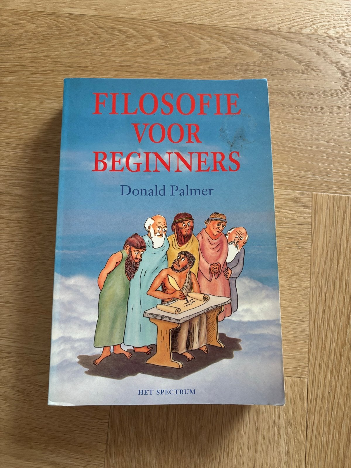 Filosofie voor Beginners - Donald Palmer, Ophalen of Verzenden, Zo goed als nieuw, Algemeen