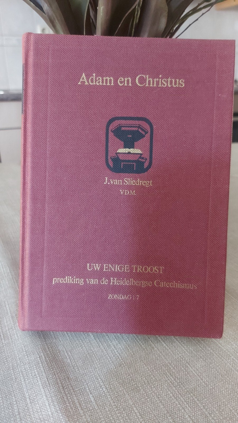 J. van Sliedregt - Uw Enige Troost (4 delen), Ophalen of Verzenden, Zo goed als nieuw, J. van Sliedregt, Christendom | Protestants