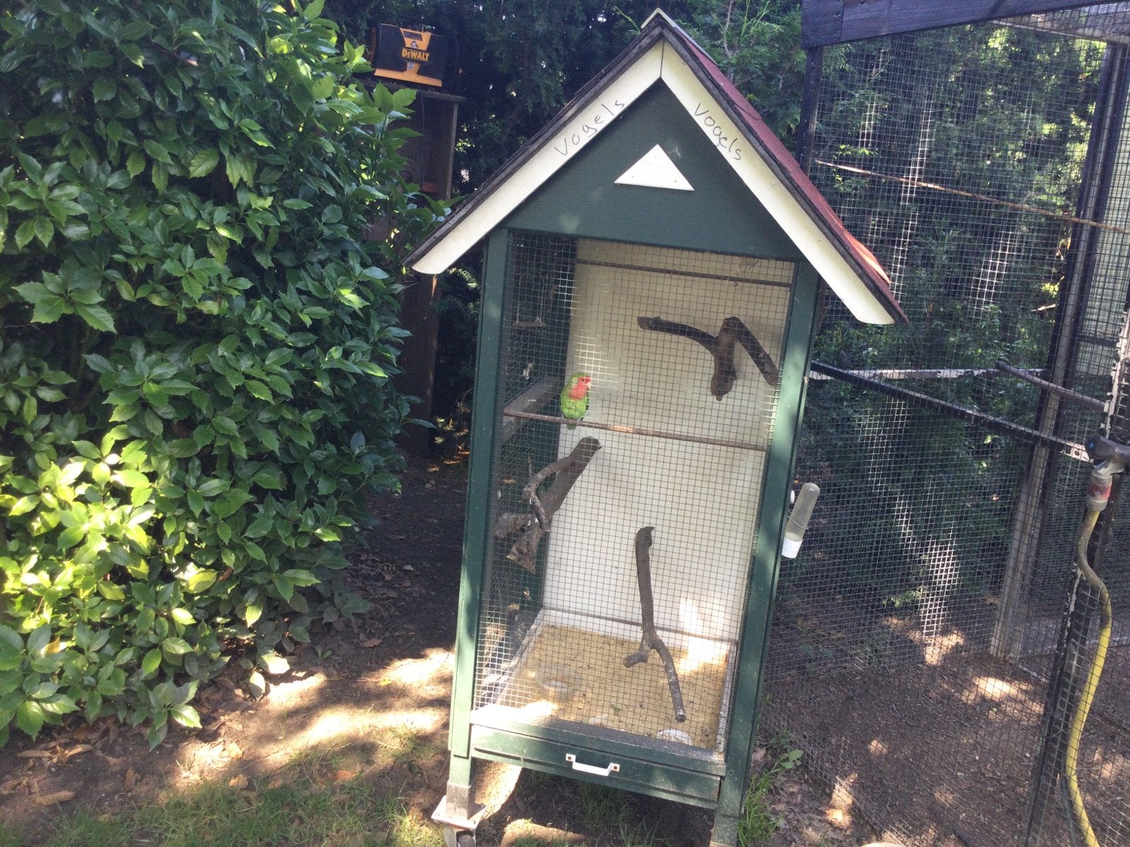 Kleine voliere te koop, Dieren en Toebehoren, Vogels | Hokken en Kooien, Ophalen, Gebruikt, Hout, Vogelkooi
