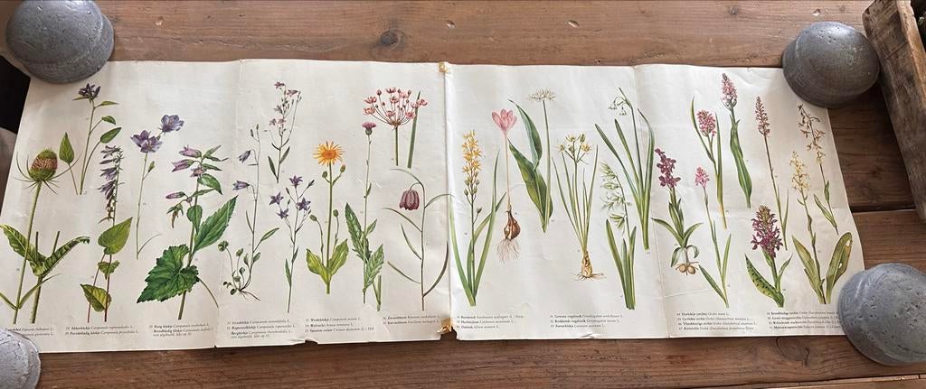 Oude posters, Ophalen, Gebruikt, Rechthoekig Liggend, A1 t/m A3