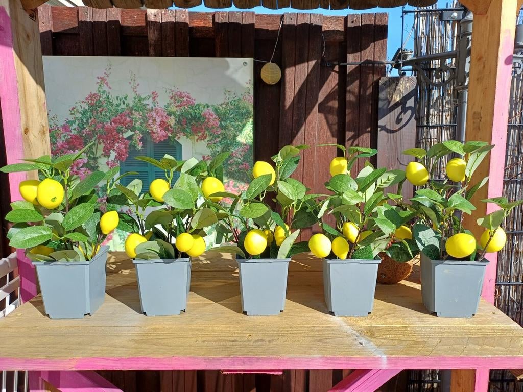 Kunstplant citroenboom in pot - set van 5, Ophalen of Verzenden, Nieuw, Binnen