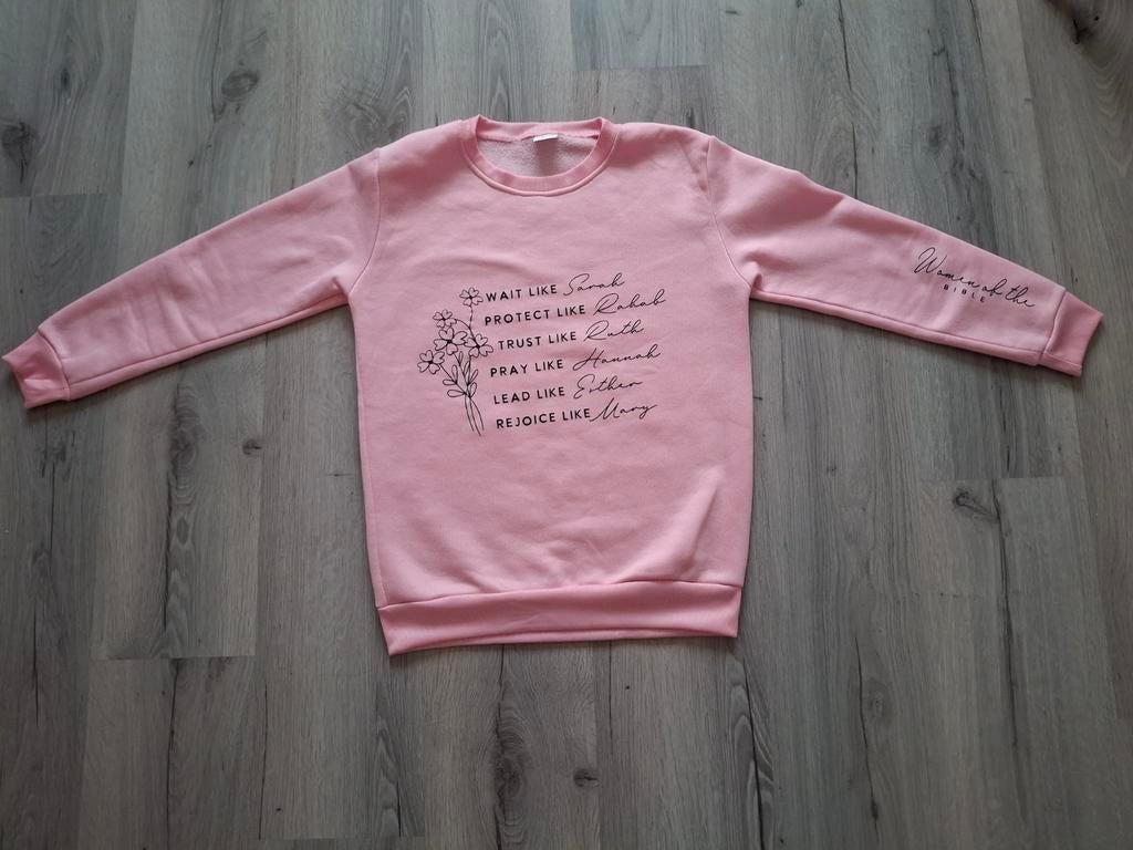 Roze trui maat s, Ophalen of Verzenden, Zo goed als nieuw, Maat 38/40 (M), Roze