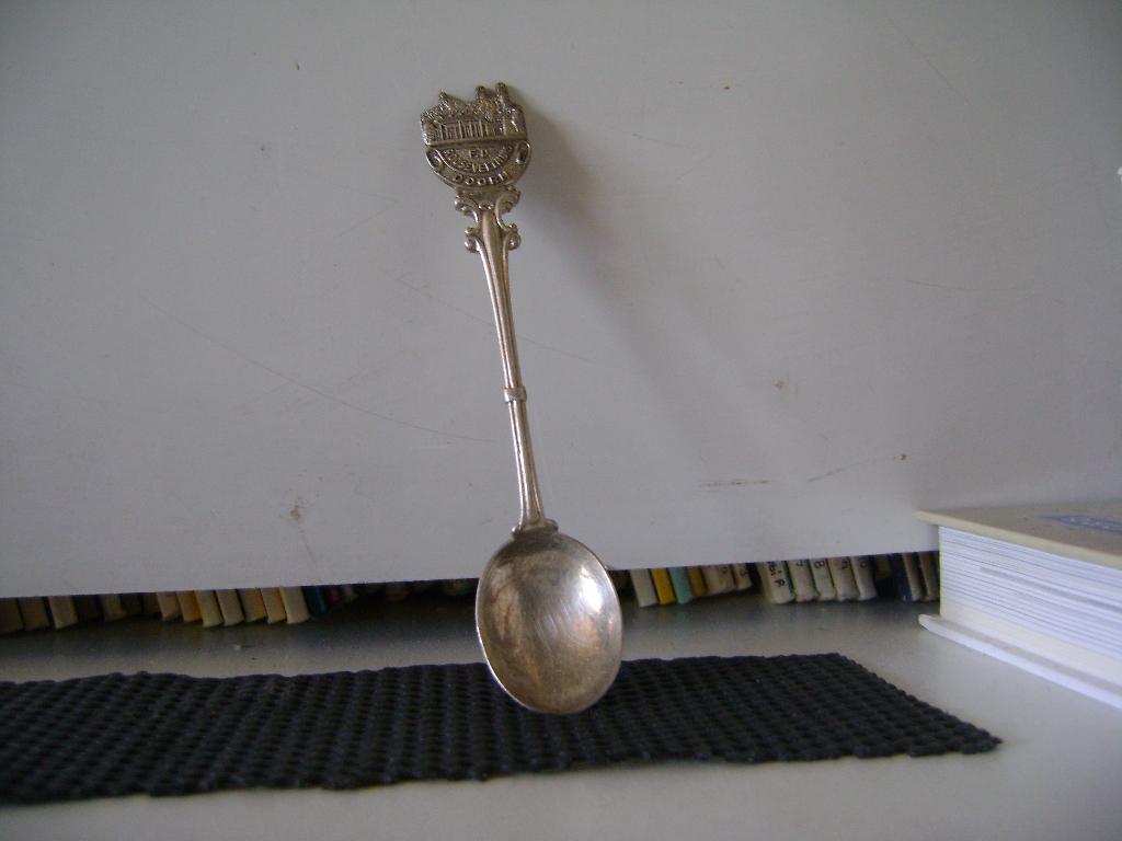Lepeltje F.D.Roosevelthuis Doorn, Ophalen of Verzenden, Gebruikt