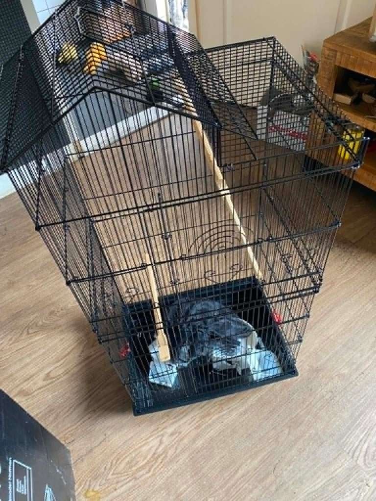 vogelkooi, Ophalen, Nieuw, Metaal, Vogelkooi