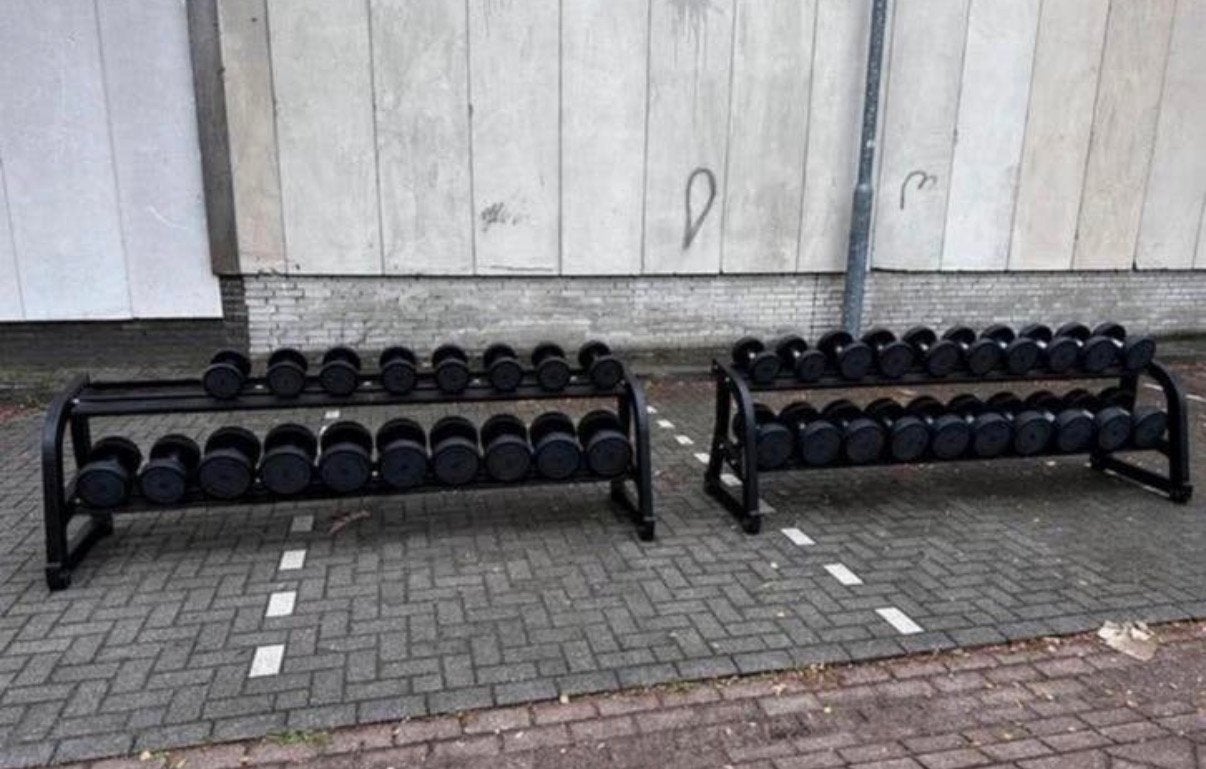 Technogym Pu Rubberen Dumbells 4 t/m 40kg+ 2 Dumbells Rekken, Sport en Fitness, Ophalen, Gebruikt, Dumbbell