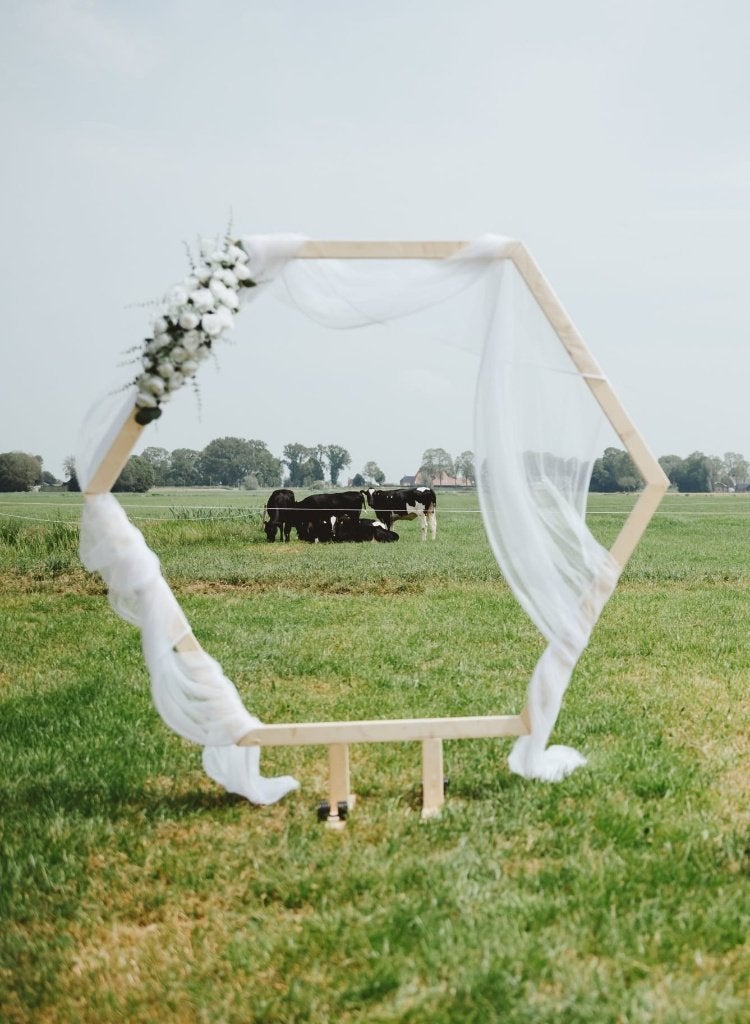 Backdrop bruiloft, Ophalen, Versiering, Geboorte of Huwelijk