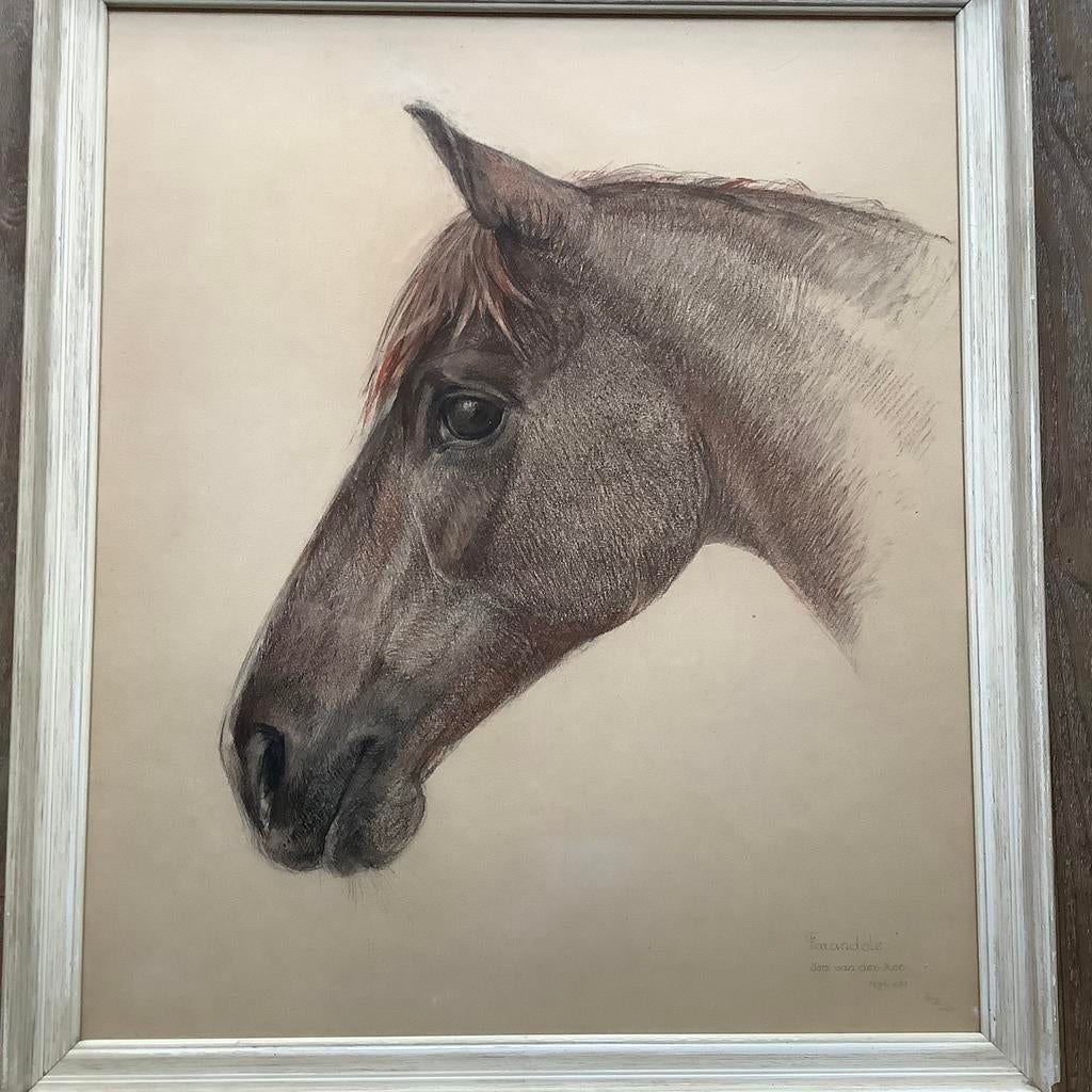 Paard paardenhoofd portret tekening van Isa van der Hoef, Antiek en Kunst, Ophalen