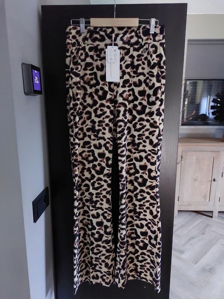 Triple nine broek, Ophalen of Verzenden, Nieuw, Bruin, Lang