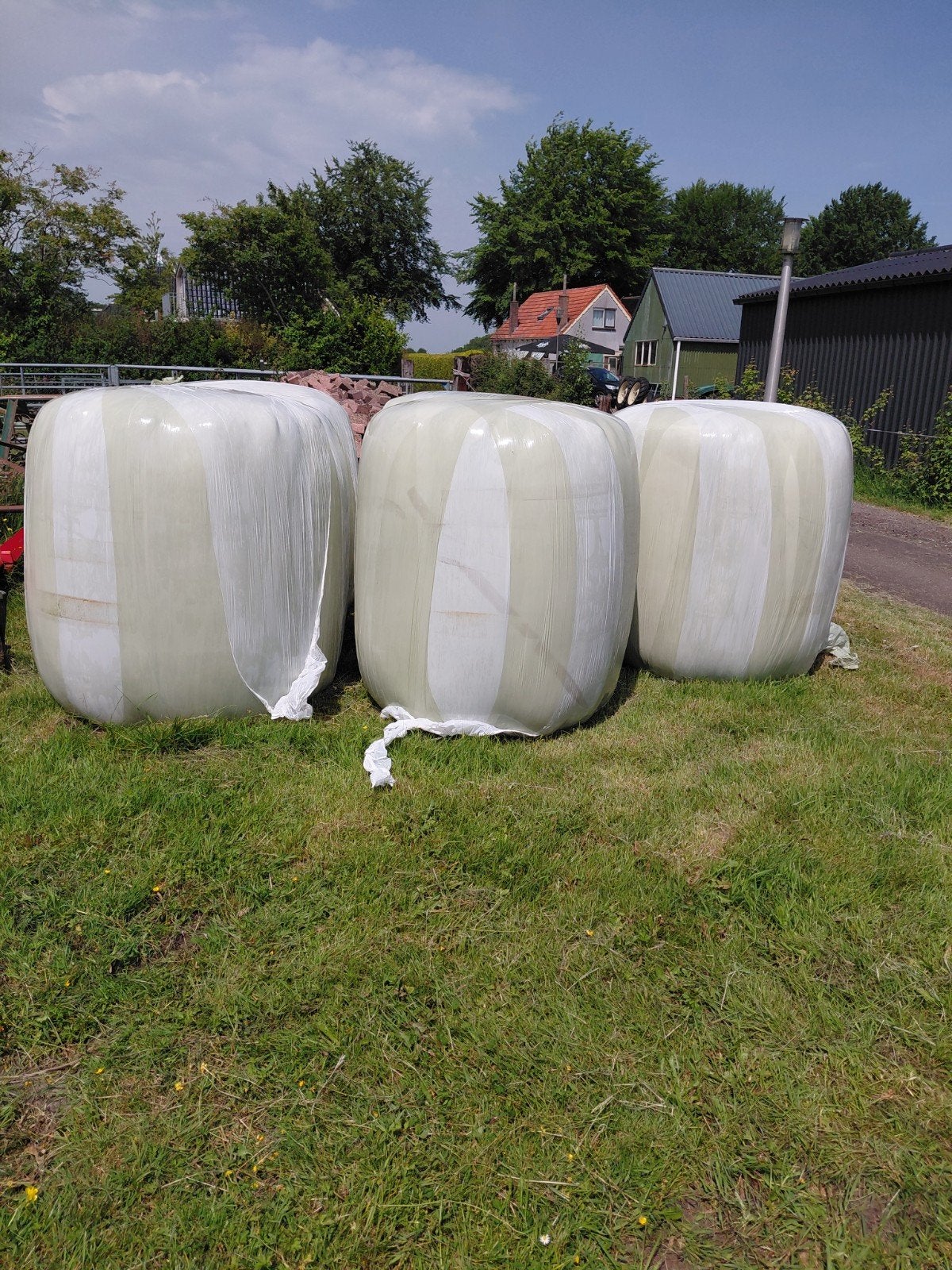 Midi balen, Dieren en Toebehoren, Dierenvoeding, Ophalen, Vee