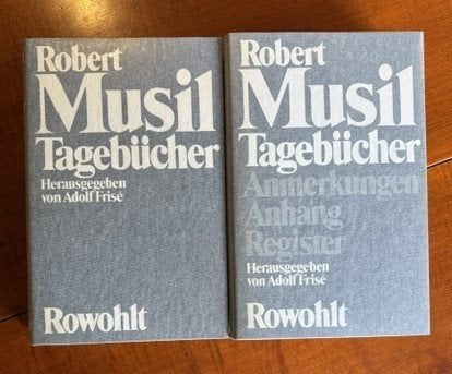 Robert Musil - Tagebücher  I.II, Boeken, Ophalen of Verzenden, Zo goed als nieuw, Geesteswetenschap