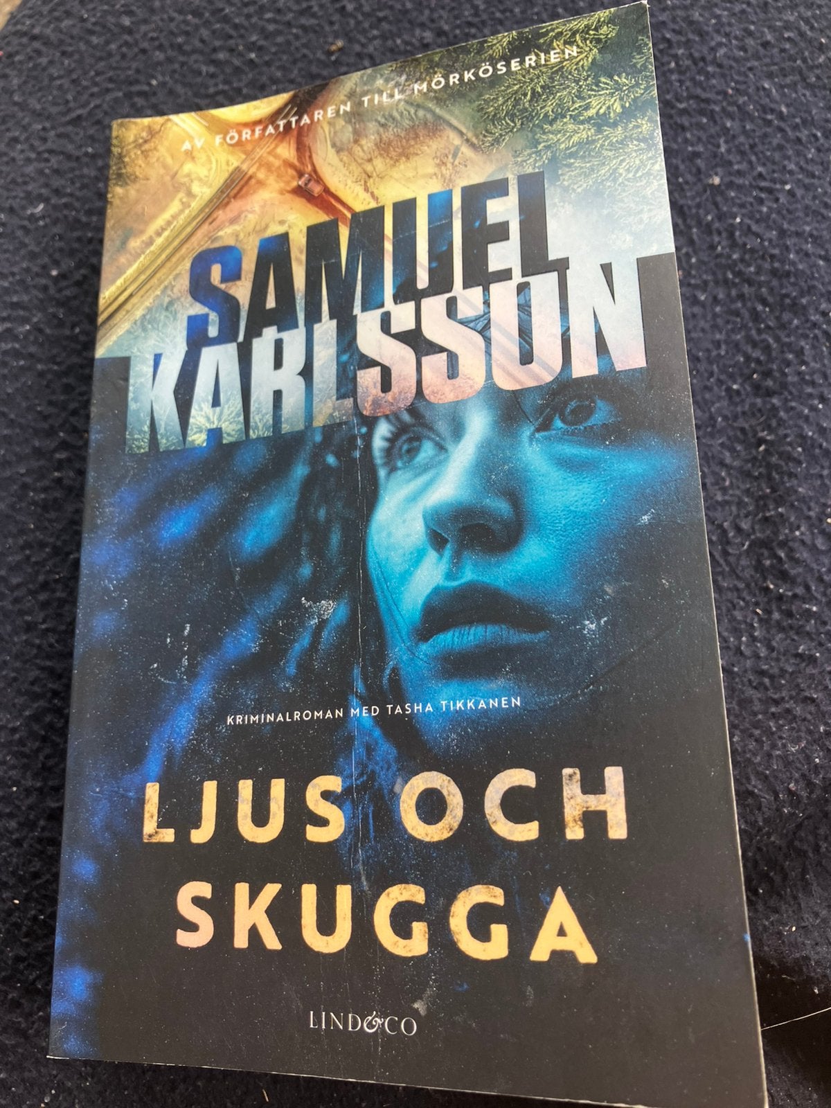 Ljus och skugga - Samuel Karlsson (Zweeds), Boeken, Taal | Overige Talen, Ophalen of Verzenden, Gelezen