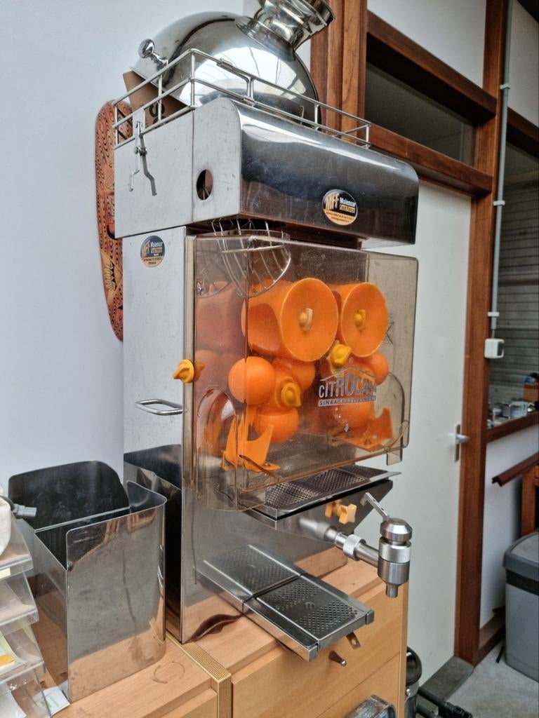 Citrus pers, Ophalen, Minder dan 45 cm