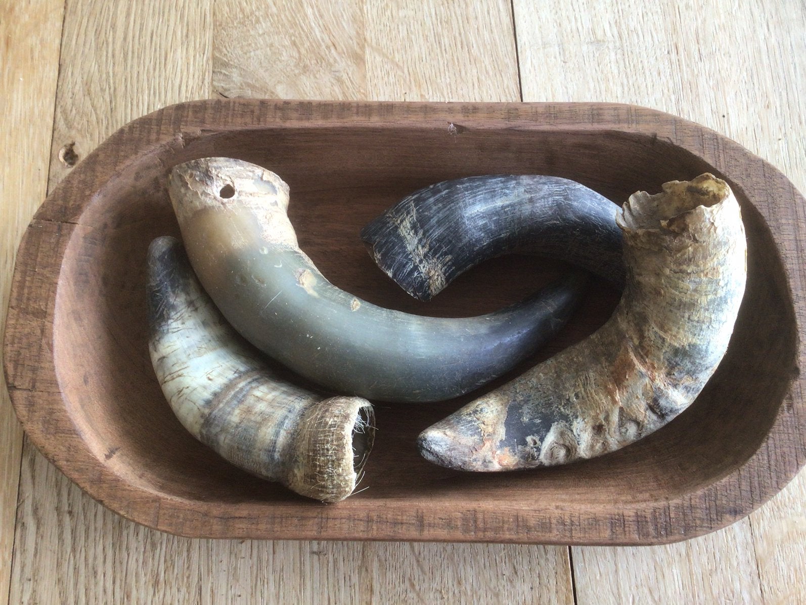 Houten schaal met 4 oude koehoorns, Huis en Inrichting, Ophalen of Verzenden, Gebruikt