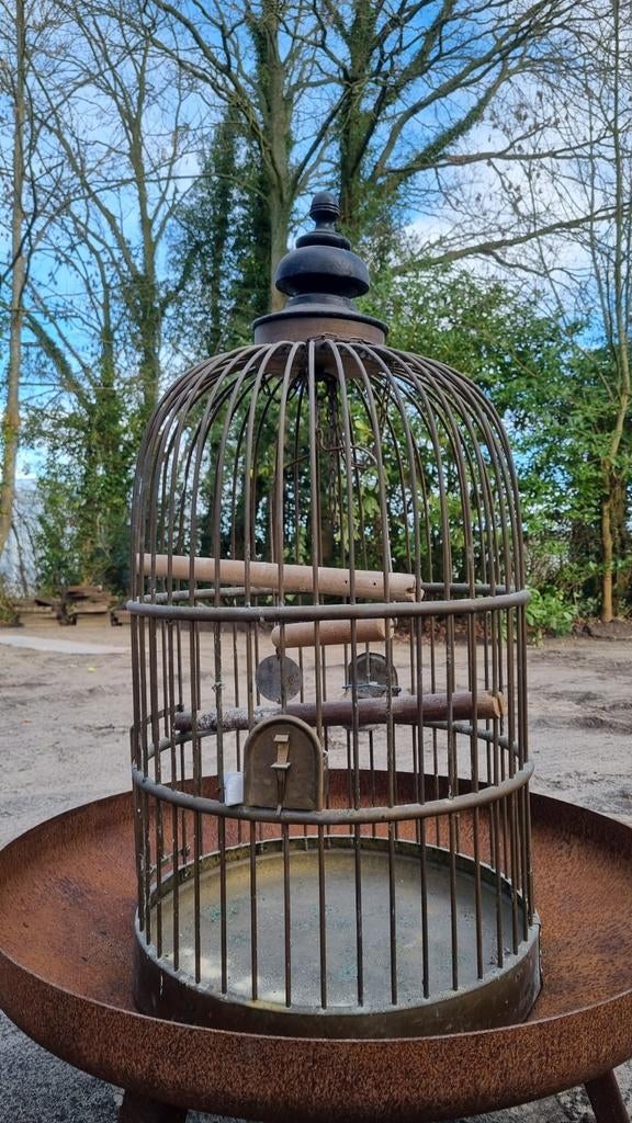Antieke koperen papagaaien kooi, Ophalen, Zo goed als nieuw, Metaal, Vogelkooi