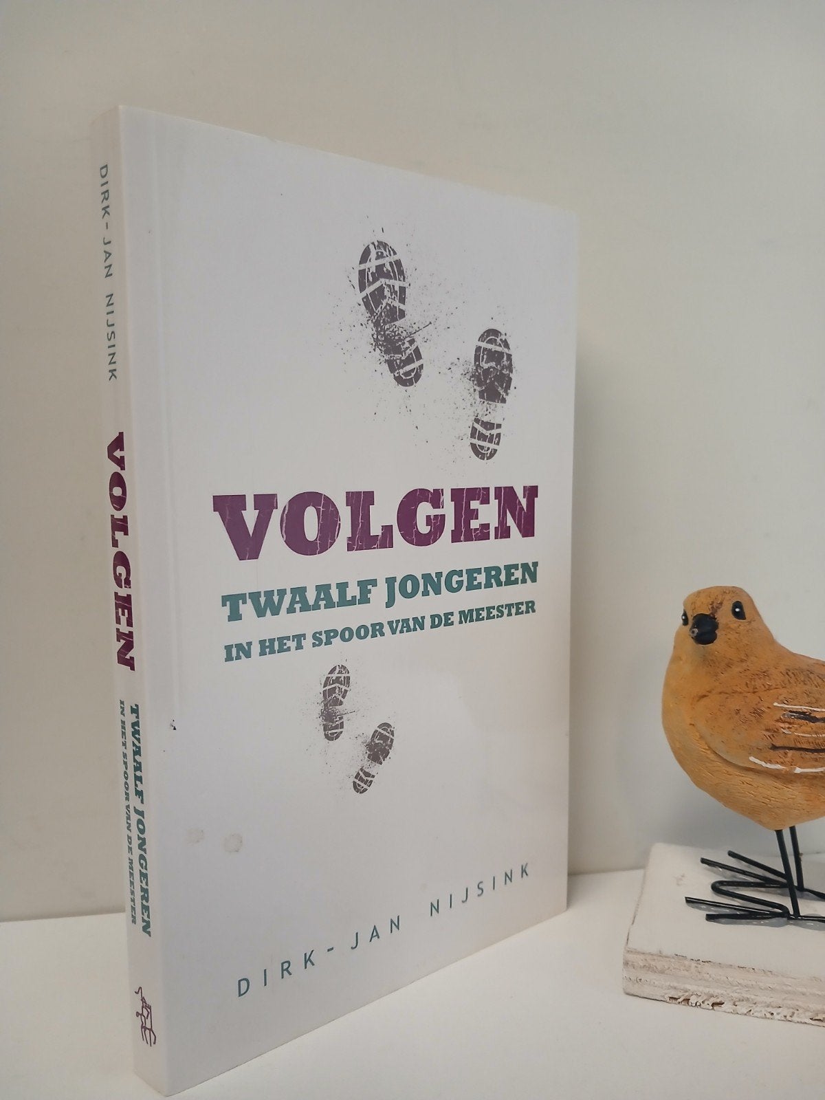 Nijsink, Dirk-Jan; Volgen (twaalf jongeren in het spoor, Ophalen of Verzenden, Gelezen, Christendom | Protestants