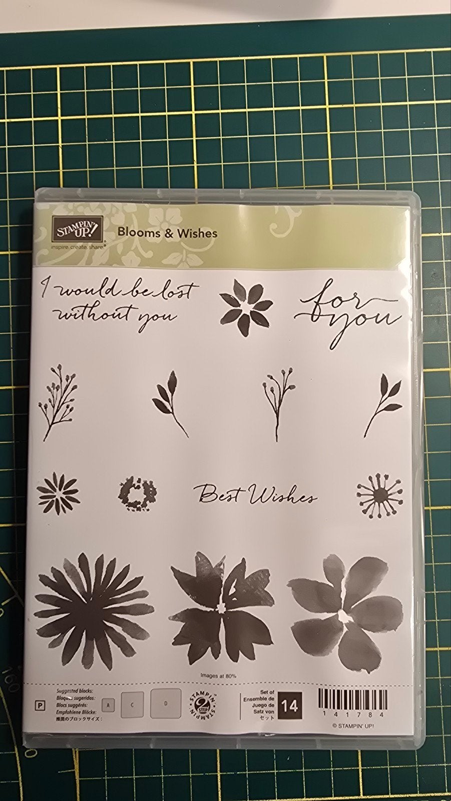 Stampin up stempelset blooms and wishes, Hobby en Vrije tijd, Ophalen of Verzenden, Gebruikt