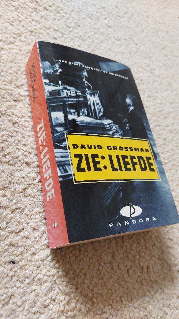 Zie: Liefde - David Grossman (Pandora), Boeken, Gelezen, Europa overig, Ophalen of Verzenden, David Grossman