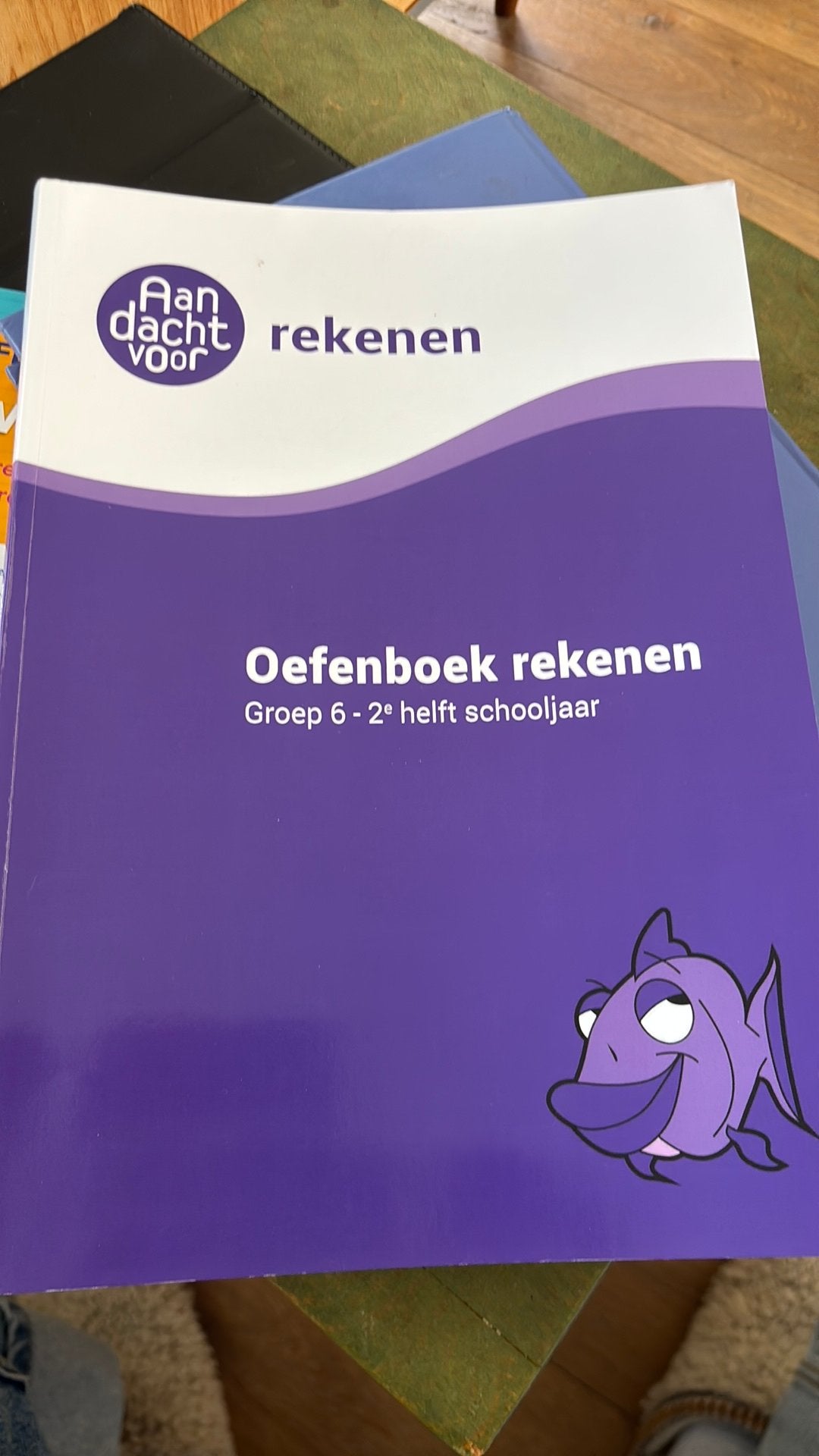 Oefenboek, Boeken, Ophalen of Verzenden, Zo goed als nieuw, Overige niveaus, Nederlands