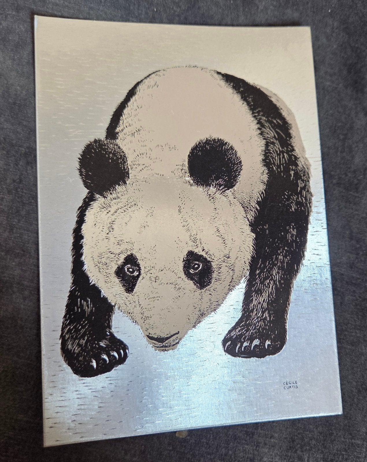 Panda - Cecile Curtis - Engeland, Verzenden, 1960 tot 1980, Ongelopen, Overige thema's