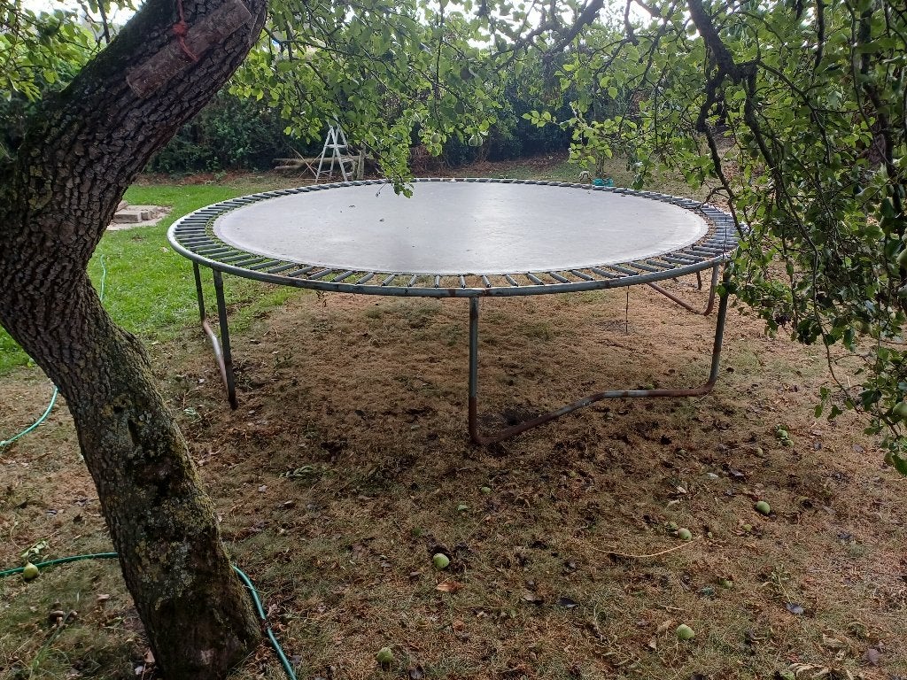 Grote trampoline merk Berg 420, Kinderen en Baby's, Speelgoed | Buiten | Trampolines, Ophalen of Verzenden, Gebruikt