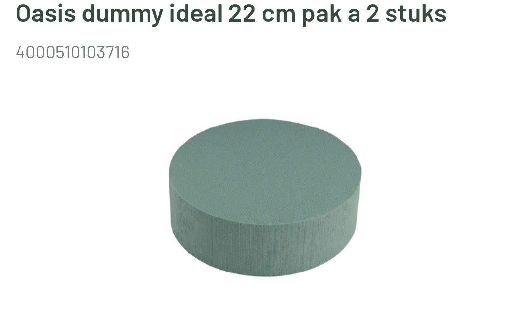 Oasis cake dummy 22x7, Ophalen of Verzenden, Nieuw
