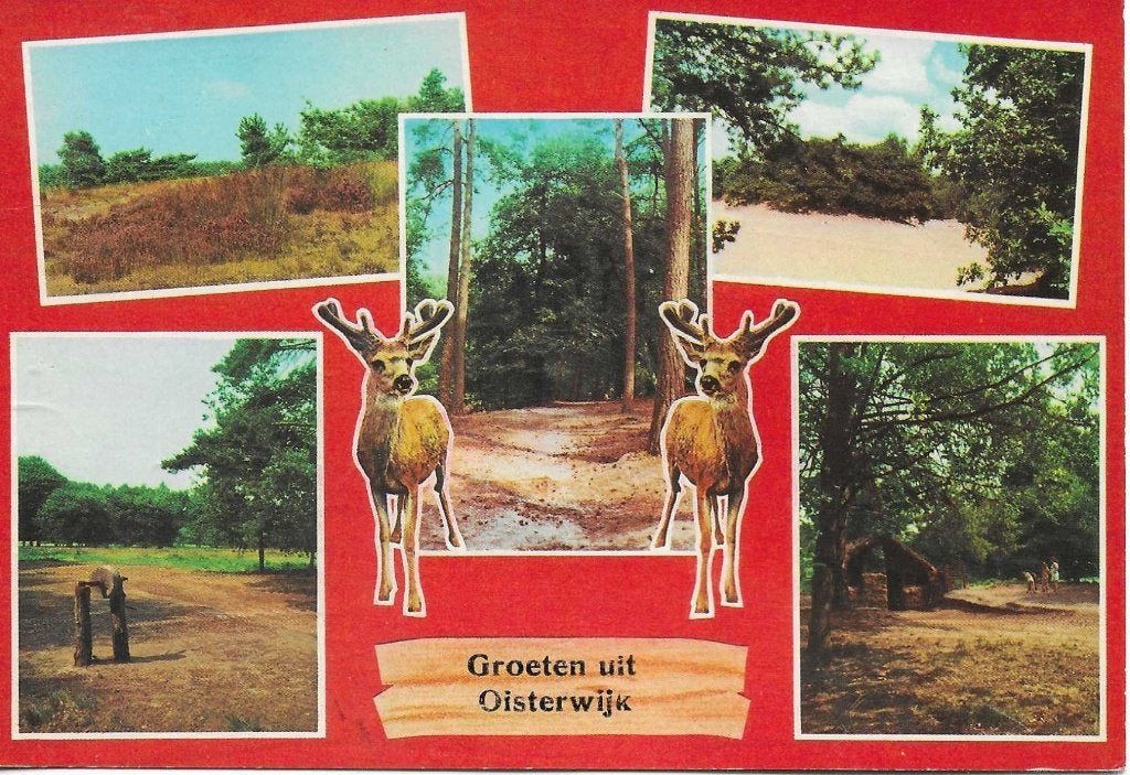 Oisterwijk- -5-luik., Ophalen of Verzenden, 1960 tot 1980, Gelopen, Noord-Brabant