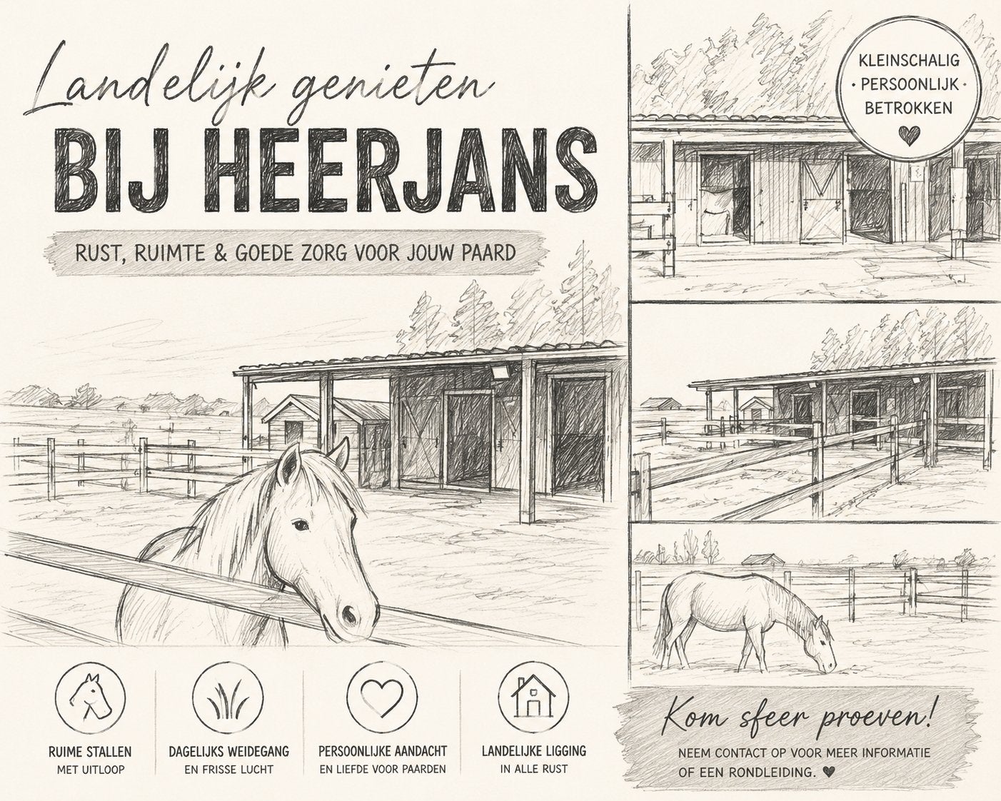 2 Pensionplekken & weidegang vrij, Weidegang, 1 paard of pony
