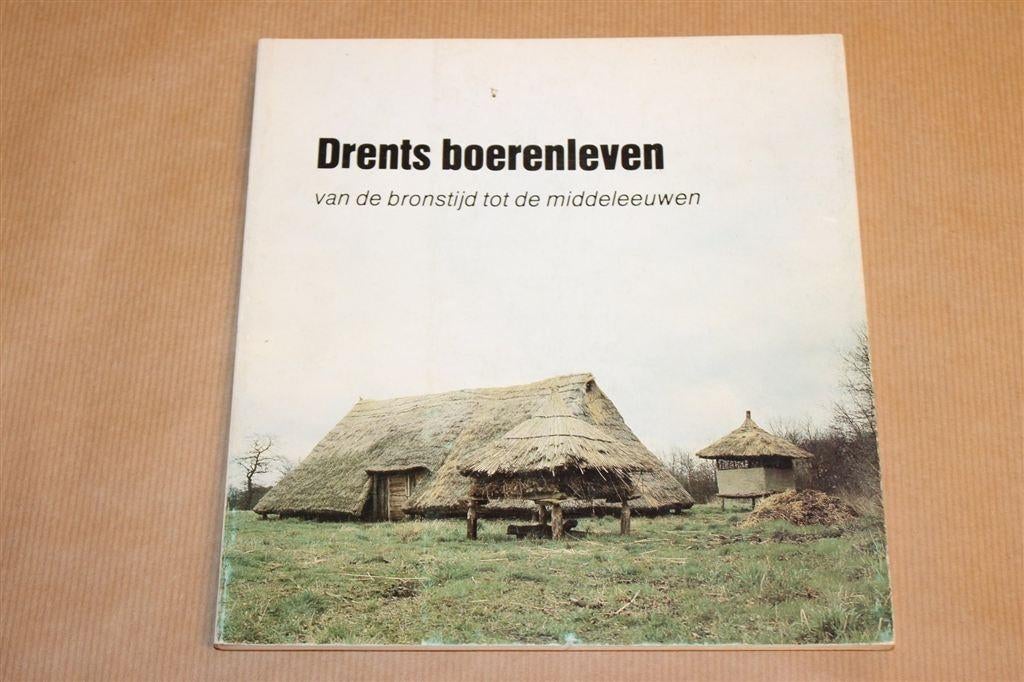 Drents Boerenleven — Bronstijd tot Middeleeuwen [1980], Boeken, Ophalen of Verzenden, 14e eeuw of eerder, Gelezen