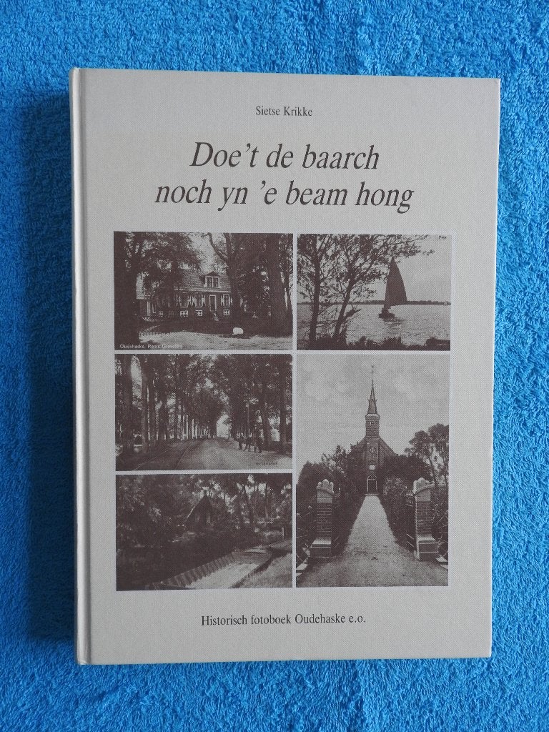 Doe 't de baarch noch yn 'e beam hong - Fotoboek Oudehaske, Boeken, Ophalen of Verzenden, Zo goed als nieuw