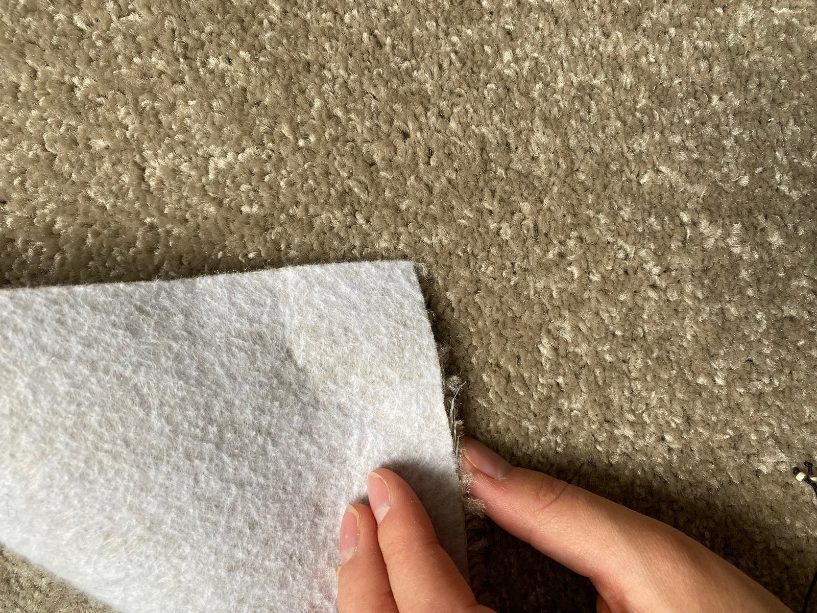Beige tapijt Kwantum, Ophalen, Beige, Laagpolig, Nieuw