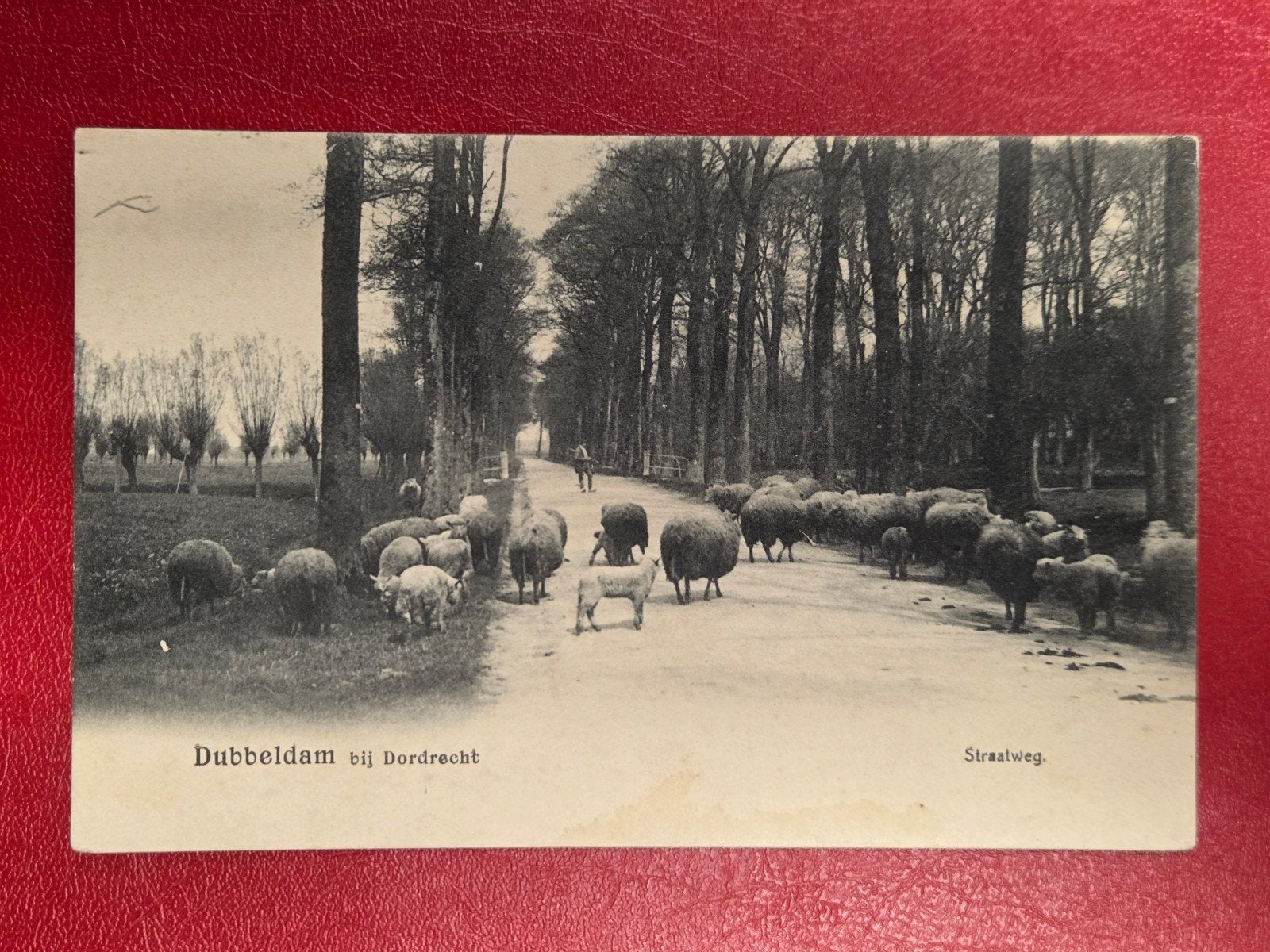 Dubbeldam bij Dordrecht Straatweg met schapen, Verzamelen, Ophalen of Verzenden, Voor 1920, Zuid-Holland