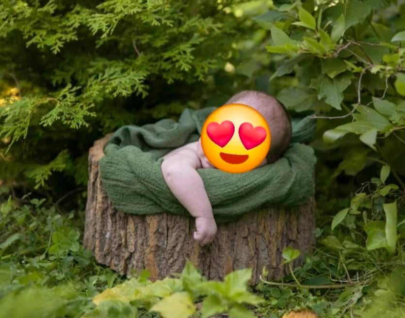 Newborn fotografie. Foto props. Boomstam pot. Boomschors pot, Eén persoon, Overige typen