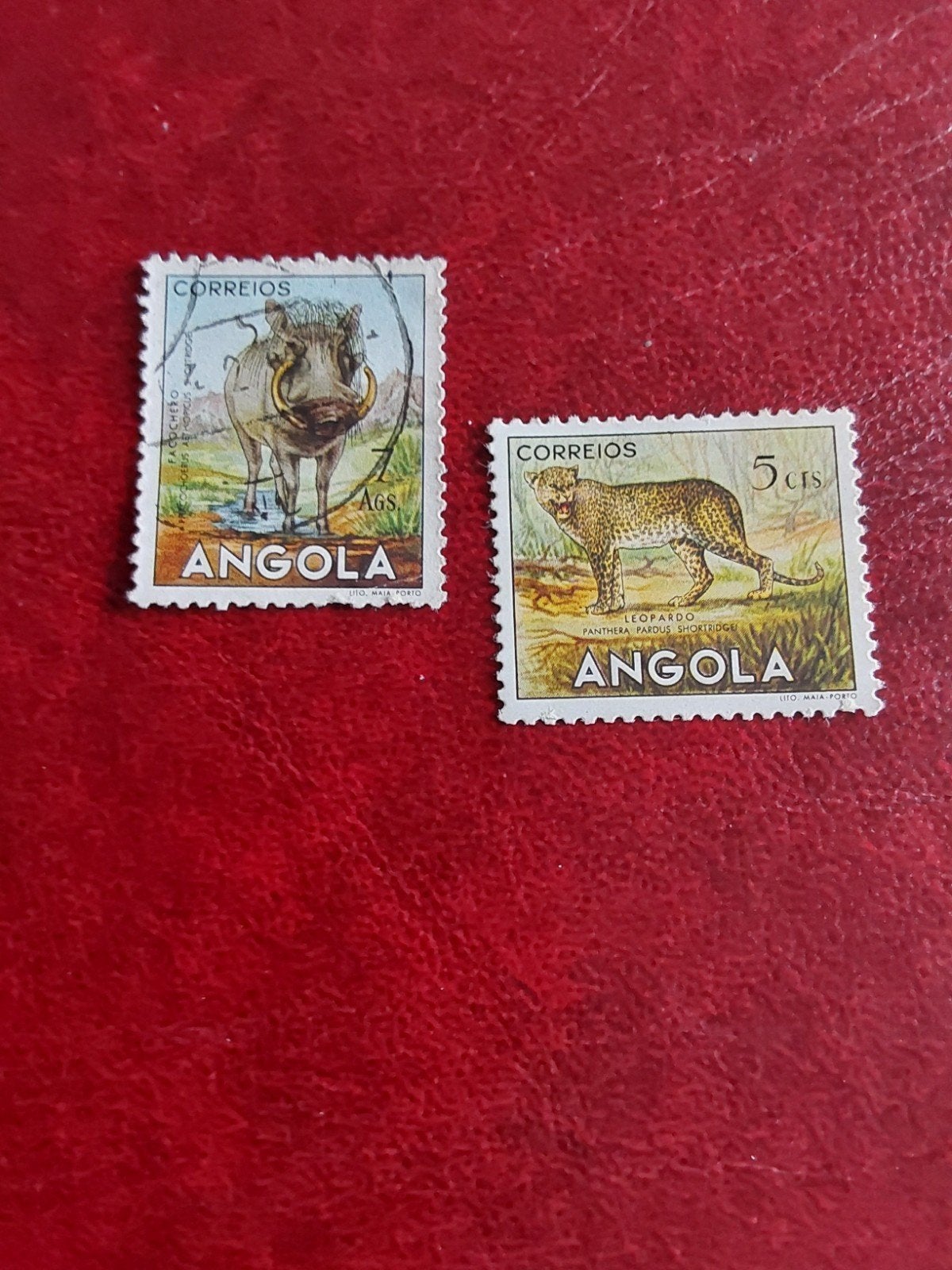 Postzegels Angola. Knobbelzwijn en luipaard 1953 ( gest), Ophalen of Verzenden, Overige landen