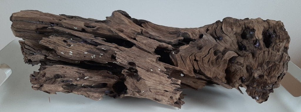 groot stuk hout voor in het aquarium, Dieren en Toebehoren, Ophalen of Verzenden, Zo goed als nieuw, Plant(en), Steen of Hout