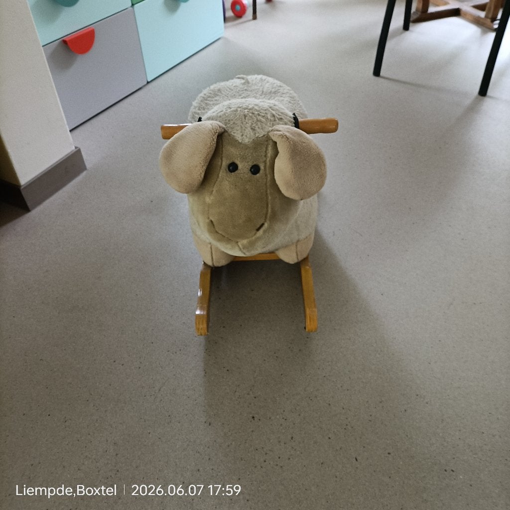 Hobbelschaap, Ophalen of Verzenden, Gebruikt