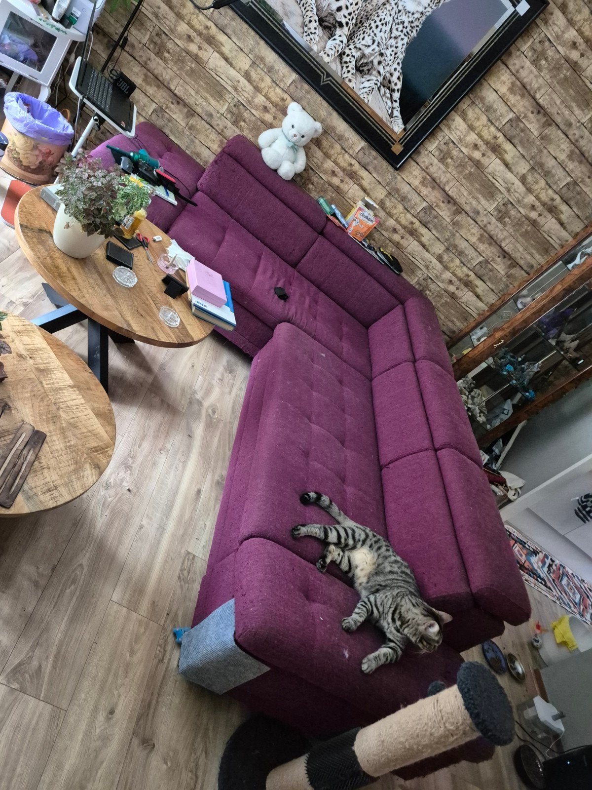 Gratis af te halen bordeaux rood loungebank, Ophalen of Verzenden
