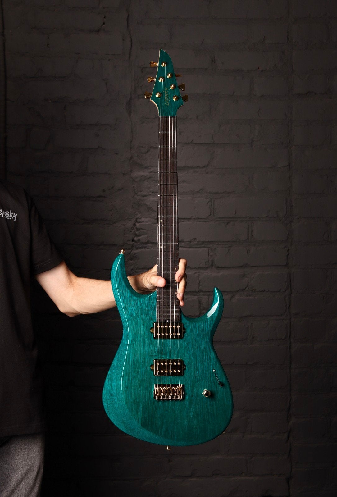 Lepksy Element 6, Ophalen of Verzenden, Zo goed als nieuw, Solid body, Overige merken