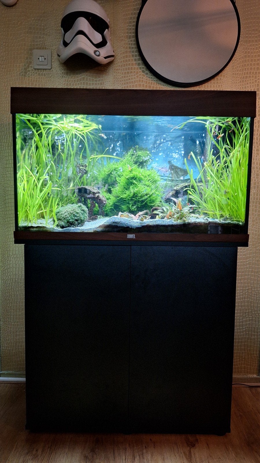 aquarium Juwel Rio 125 compl. met onderkast vissen garnalen, Ophalen, Inclusief vissen, Juwel, Gevuld zoetwateraquarium