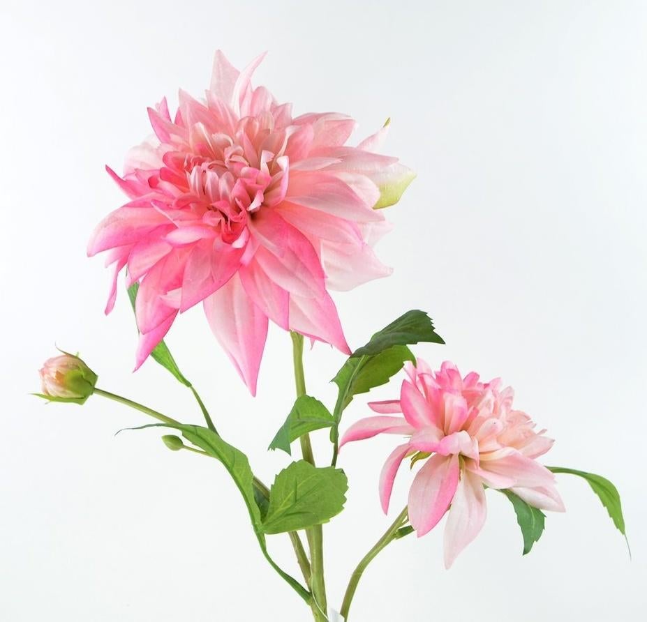 DAHLIA - KUNST - 2 KLEUREN, Ophalen of Verzenden, Nieuw