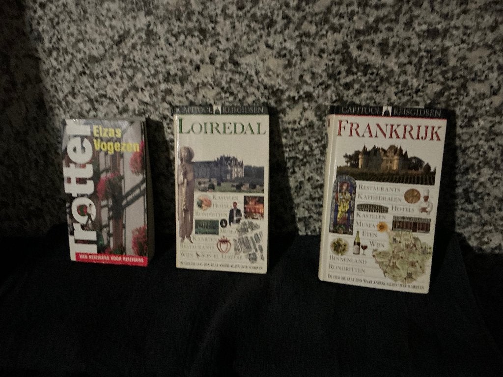 Informatie boeken over frankrijk, Overige merken, Europa, Ophalen of Verzenden, Zo goed als nieuw