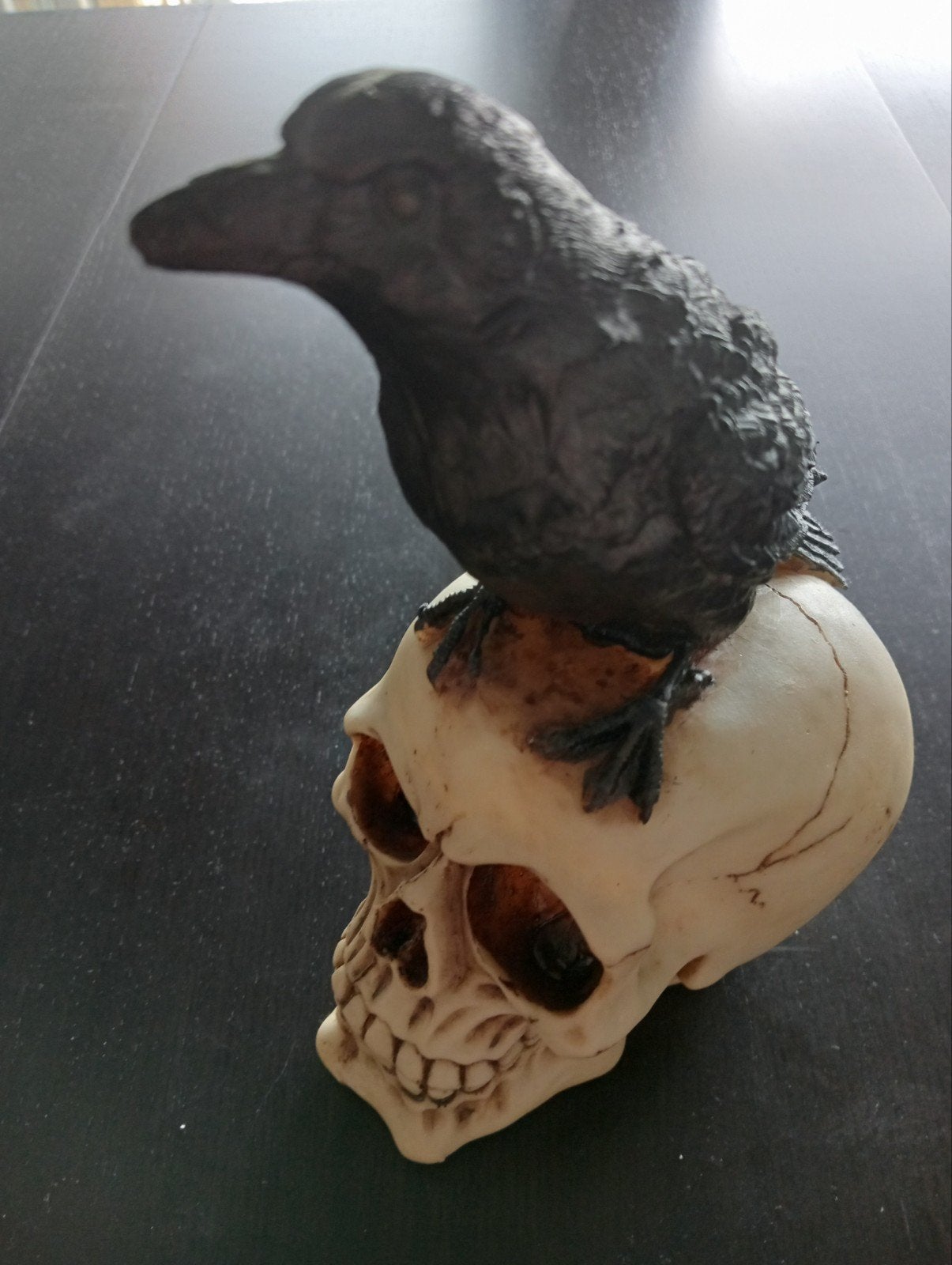 halloween raaf op schedel, Ophalen of Verzenden, Zo goed als nieuw, Halloween of Griezel