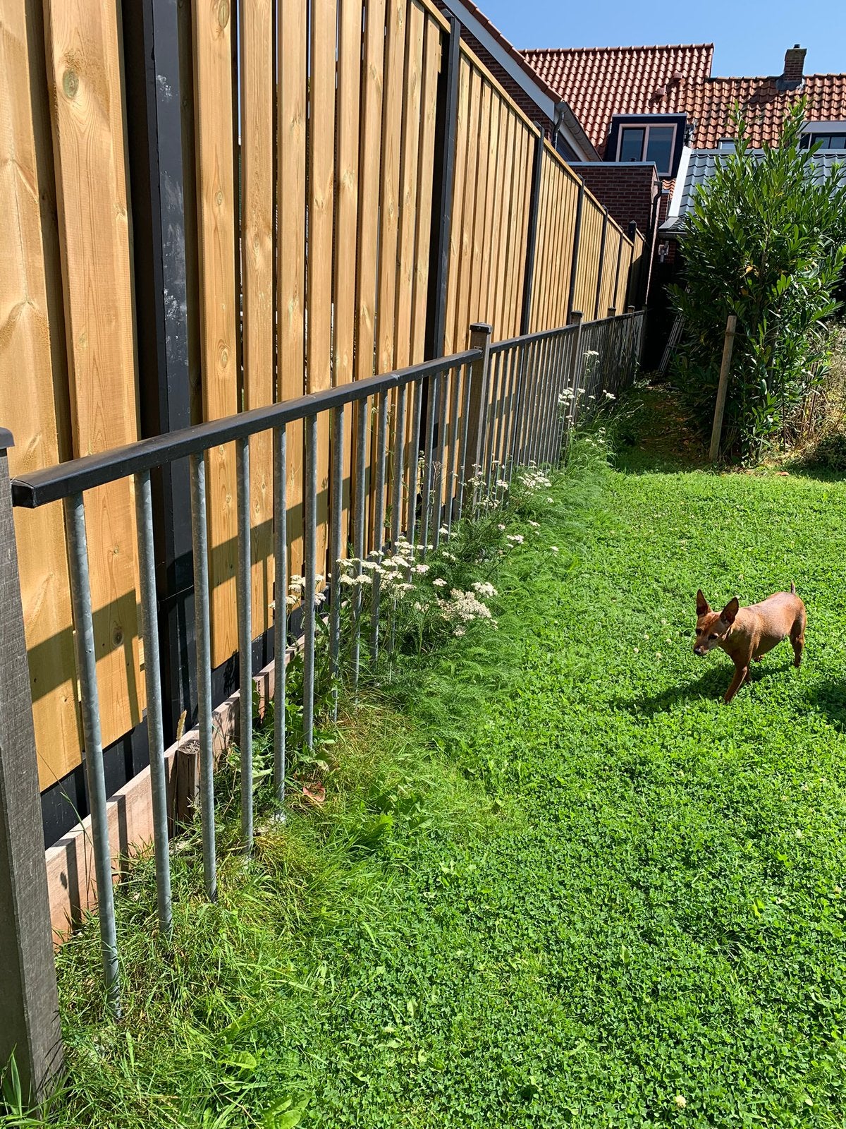 Gegalvaniseerd hekwerk +/- 17 meter met hard houten palen, Ophalen, Zo goed als nieuw, IJzer