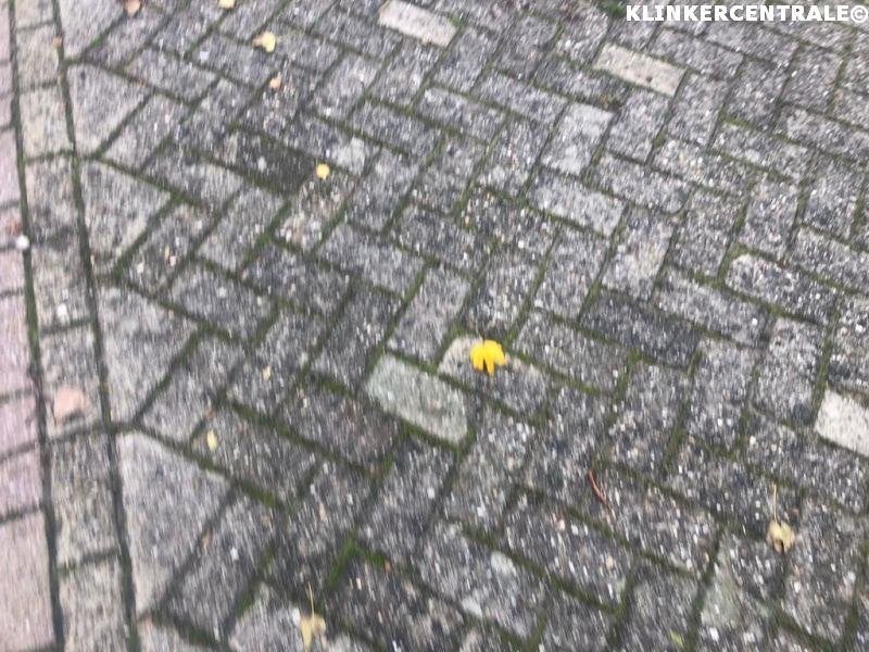 ROOIKORTING 350m2 heide grijs betonklinkers bkk bss, Bij dit gebruikte product niet meer te achterhalen., Gebruikt, Verzenden