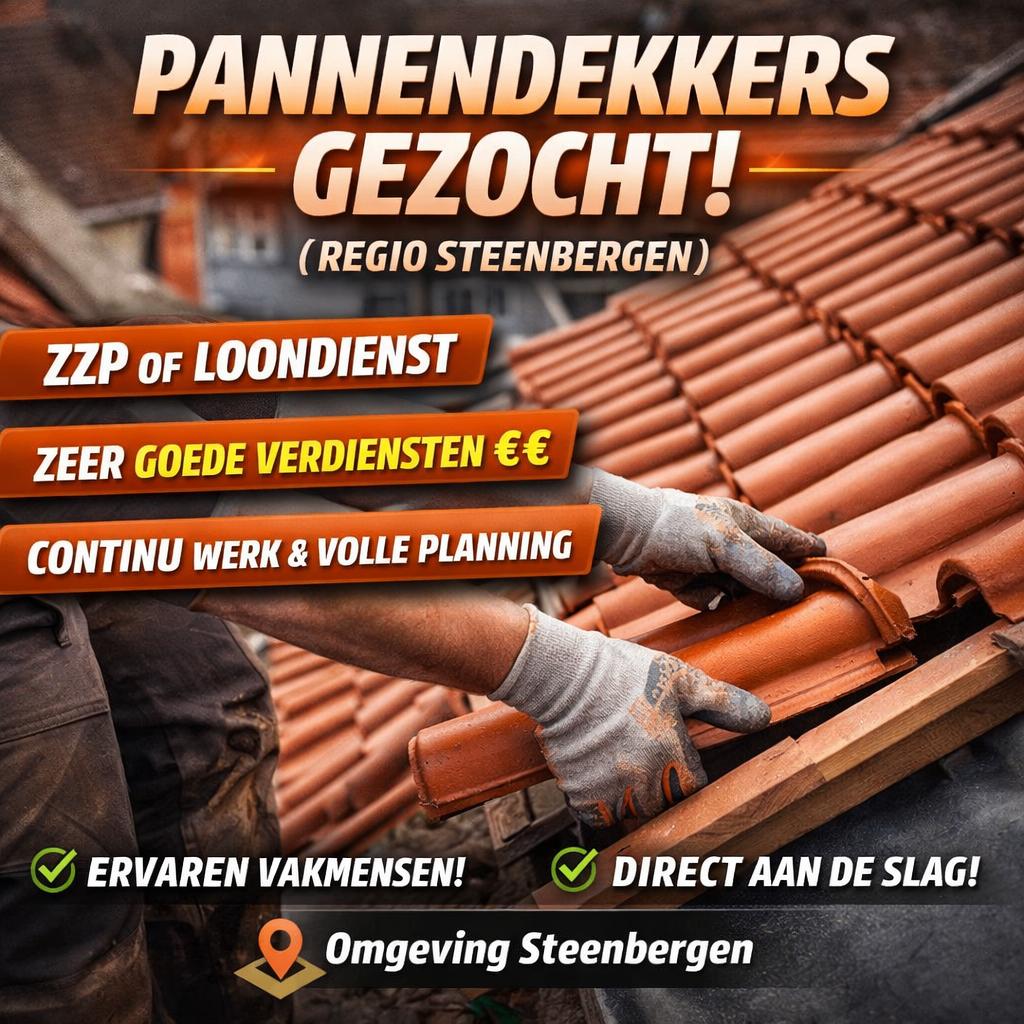 Pannendekker gezocht Regio steenbergen Noord Brabant, Vacatures, 33 - 40 uur, Overige niveaus, Overige vormen